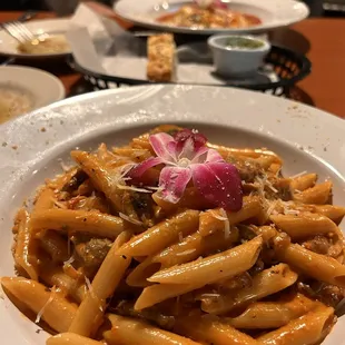 food, pasta, pasta dish