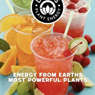 Now serving Lotus Energy Drinks
