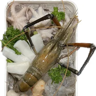 a shrimp in a container of ice