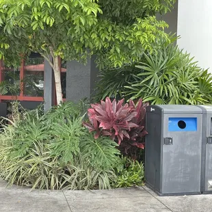 Really nice landscaping