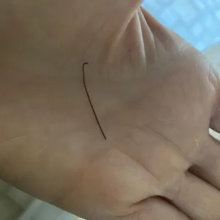 Piece if plastic possibly from a washing tool in my kale salad.