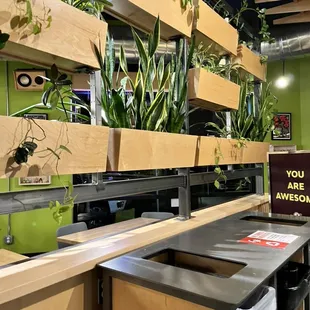 interior, sushi and sashimi