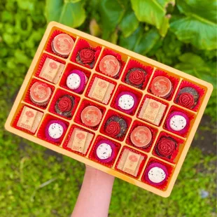 lunar new year collection- rectangle (01/2023)