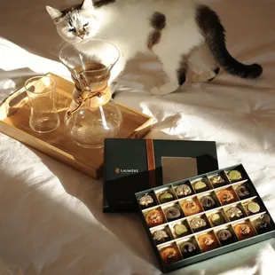 We heard cats are a big fan too? #LaumiereGourmet #LaumiereGourmetFruits #SuperfoodParfait #Superfood #love #diet