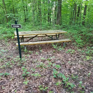 at the split on top of the hill is a picnic table (carry your trash out)