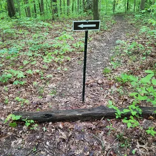 watch for arrows, blue paint on trees, and red ribbons to navigate the loop