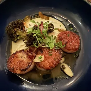 Seared Scallops