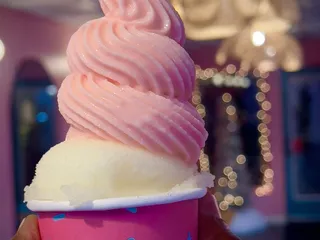 Sum N Sweet Frozen Treats