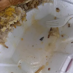 A piece of blade that I almost swallowed.