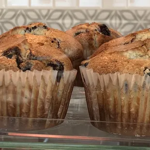 blueberry muffins in a display case