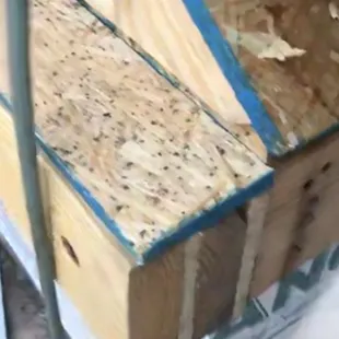 Carpenters made a big mistake