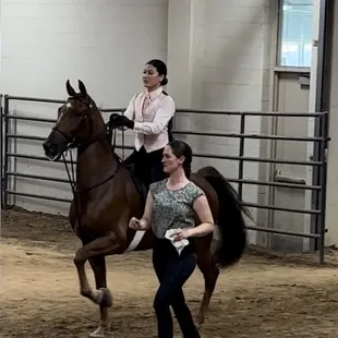Horse