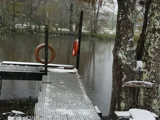 Atchafalaya Basin Backwater Adventure Swamp Tour