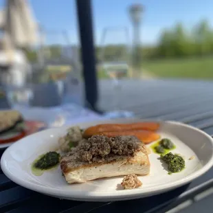 Mahi-mahi