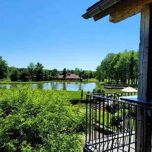 Pond