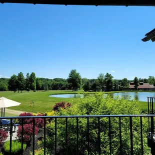 Pond View