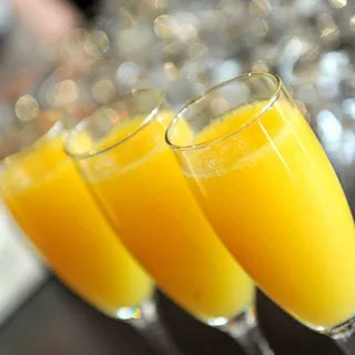 Fresh Squeezed Orange Juice