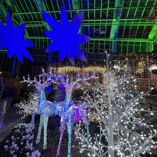 Bright Lights at Lauritzen Gardens