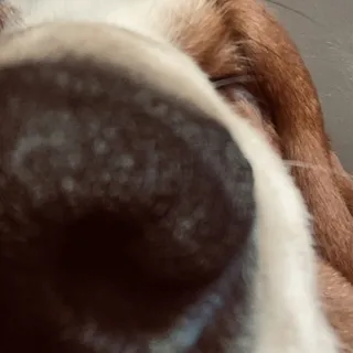 Jake F.