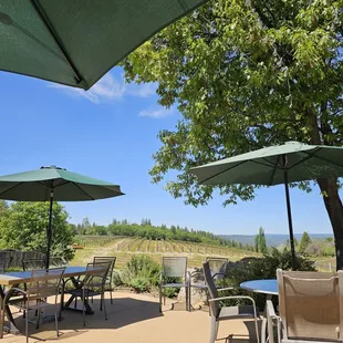 Great picnic area with shade overlooking the vineyard