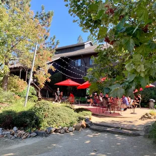 Looking up at the picnic area