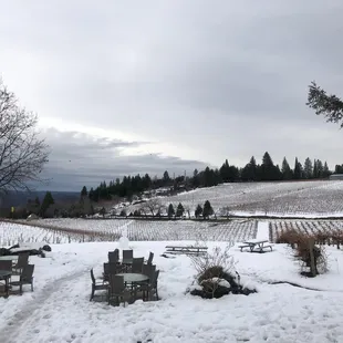 Perfect winter wonderland view!