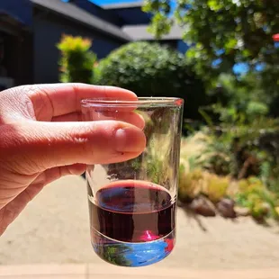 Merlot 2019 tasting
