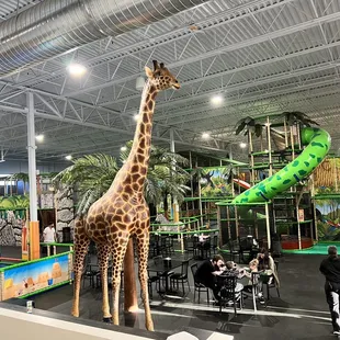 a giraffe in an indoor play area