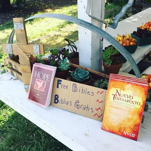 Complimentary Bibles!