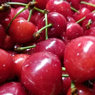 It's that time of the year! I love this place!