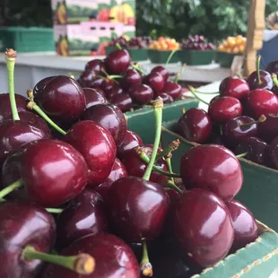 We sell a variety of cherry varietals at our cherry stand! Photographed here are Red Bings and "White" Rainiers.