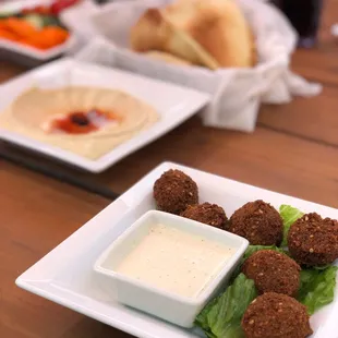 Falafel, hummus, shawarma sandwich, fresh veggies, and pitas