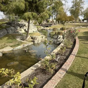 Streams