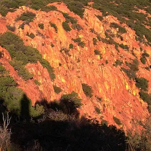 The shadow of the Lavender Jeep and driver silhouetted against the rocks of BIsbee on our Sky Island tour.