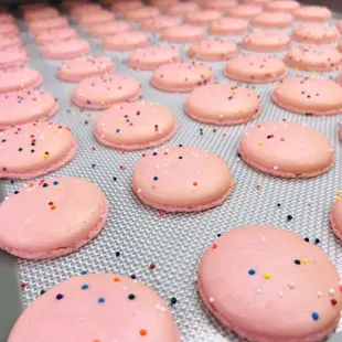 Bubblegum Macarons