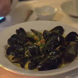 shellfish, oysters, oysters and mussels, mussels, food