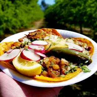 Al Pastor tacos, asked for no guacamole $1.50 each..