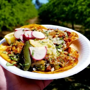 Al pastor tacos, every order comes with one tostada..