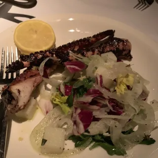 Grilled Octopus