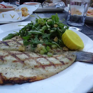 Grilled Branzino