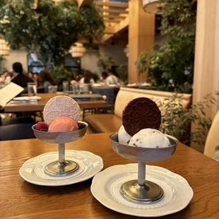 Sorbet and Gelato dessert