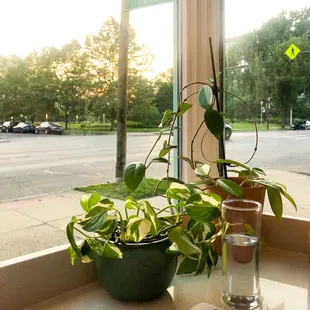 Interior looking out