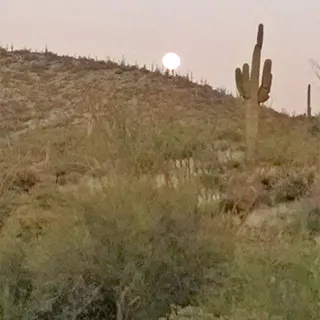 Firedog Productions R.