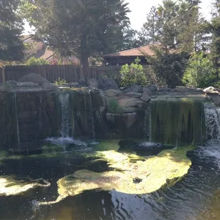 The smelly waterfall