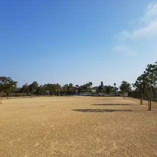 Dog park