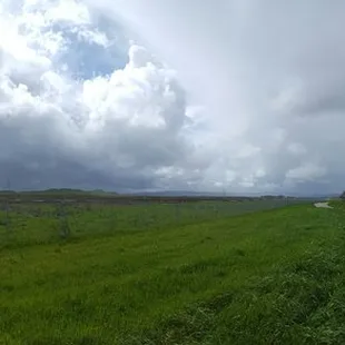 Views of suisun marsh