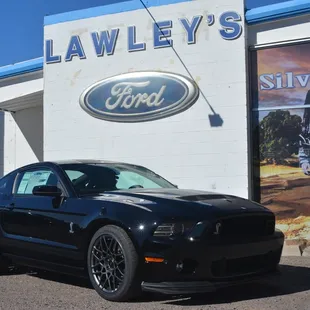 Lawley's Team Ford