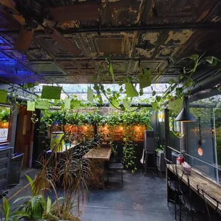 Interior, with an eastern European dance party greenhouse patio vibe, which is exactly what you&apos;re looking for!