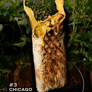 CHICAGO SHAWARMA