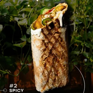 SPICY SHAWARMA